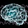 Комплекс многофункциональный компьютезированный для исследования ЭМГ и ВП "Нейронавигатор" по ТУ 9441-001-66923982-2011